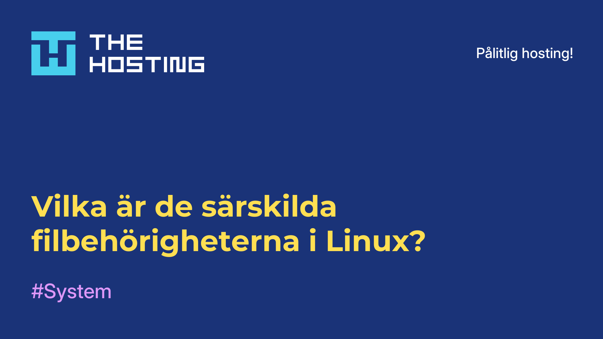 Vilka är de särskilda filbehörigheterna i Linux?