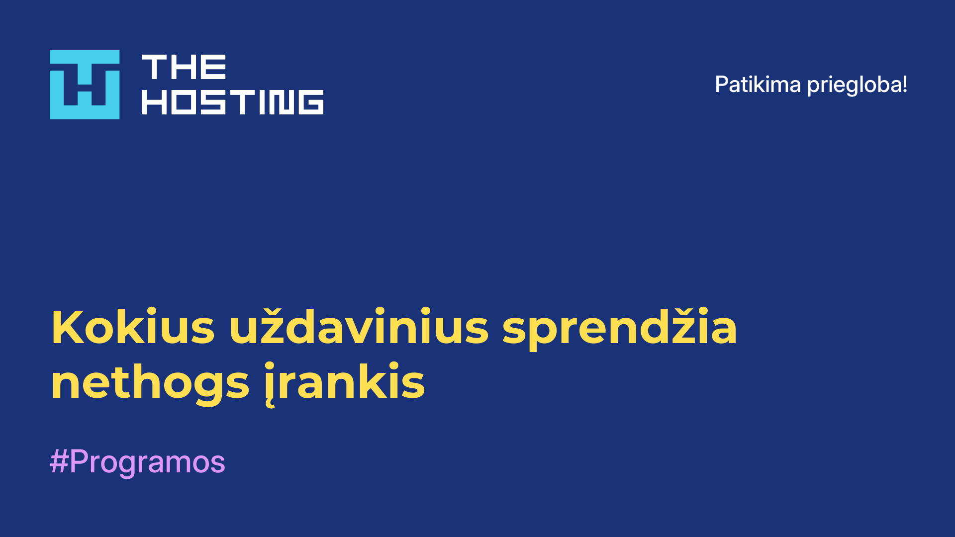 Kokius uždavinius sprendžia nethogs įrankis