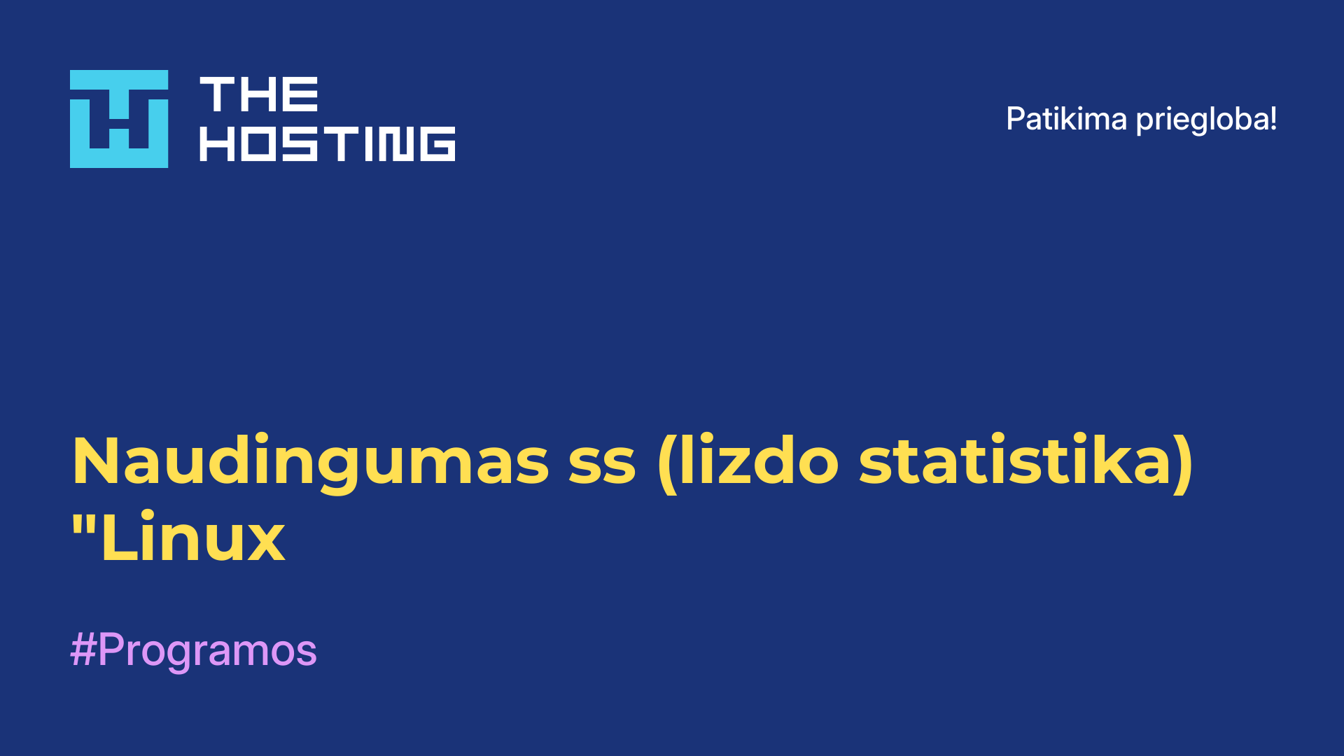 Naudingumas ss (lizdo statistika) "Linux