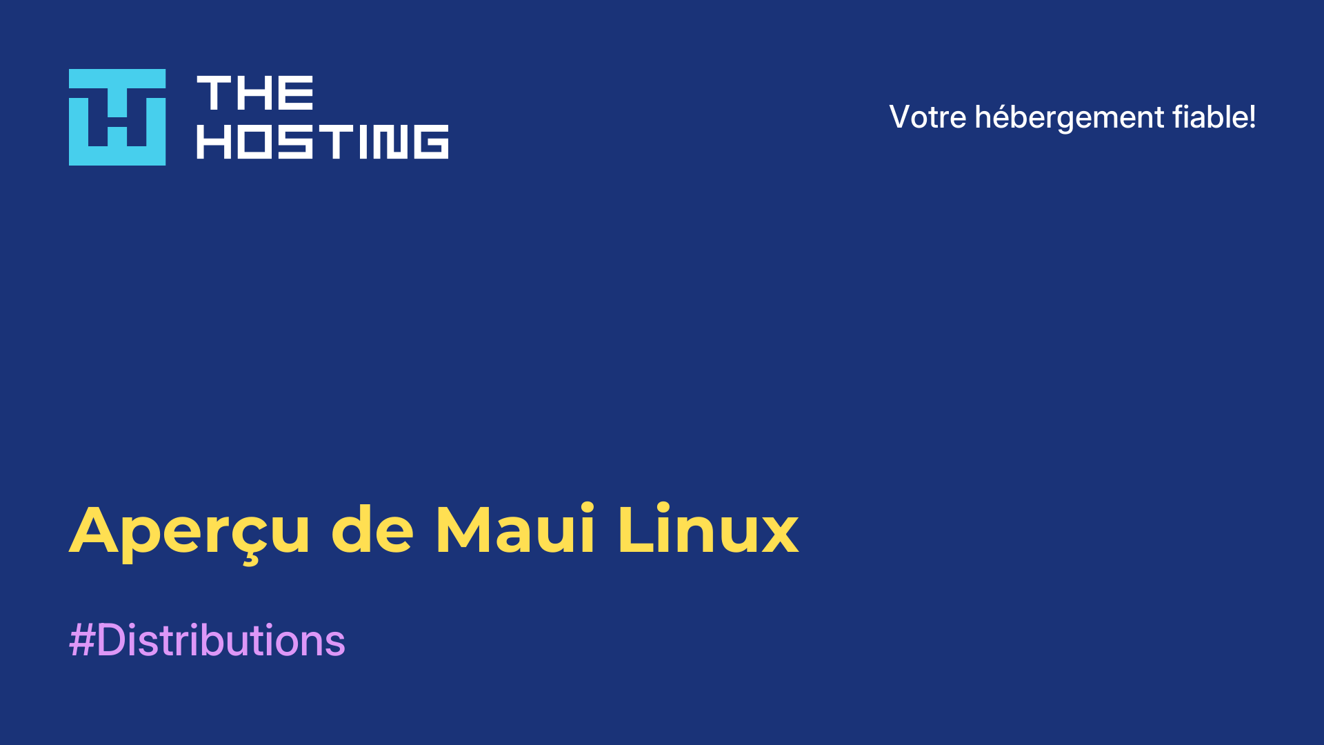 Aperçu de Maui Linux