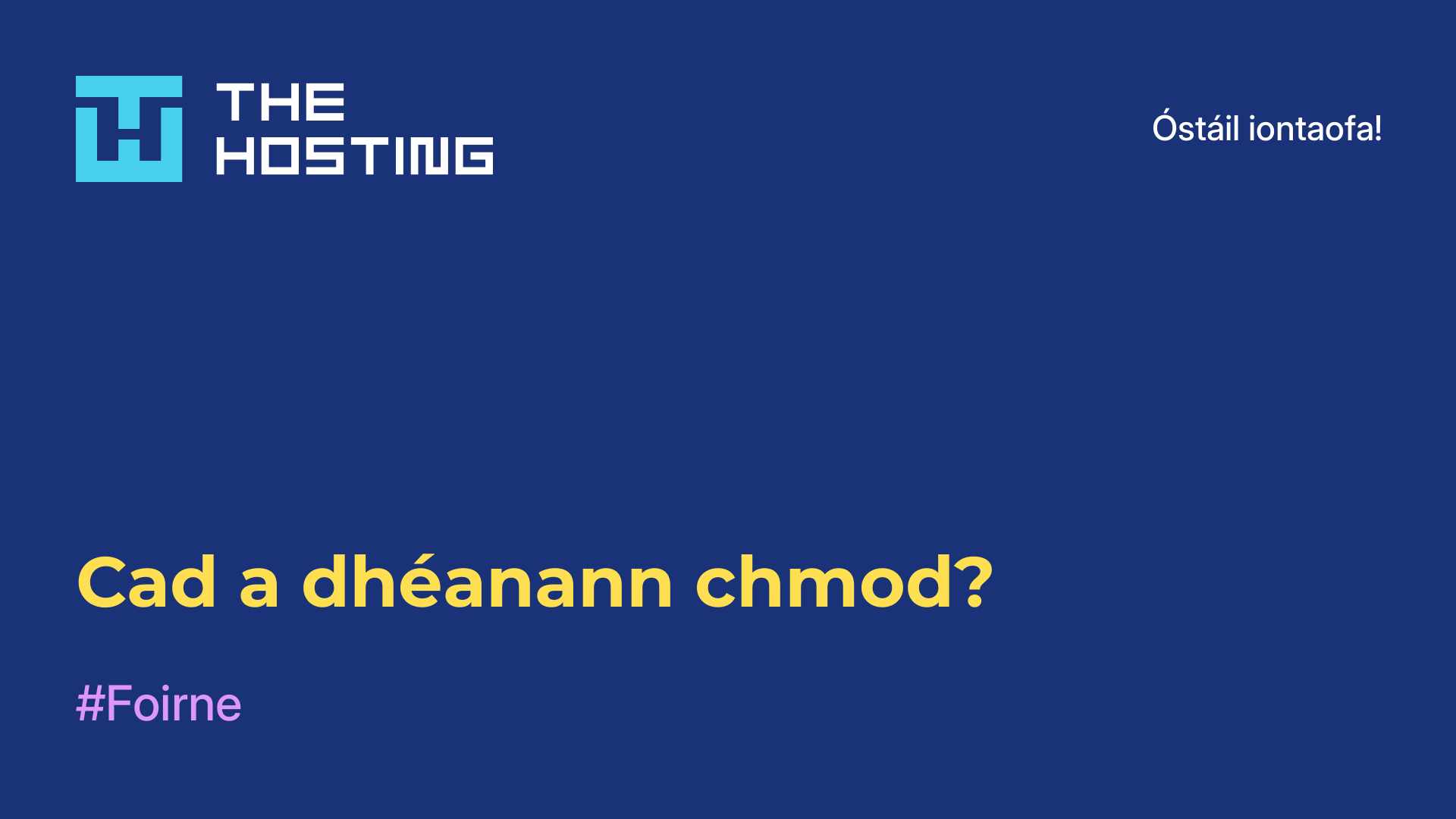 Cad a dhéanann chmod?