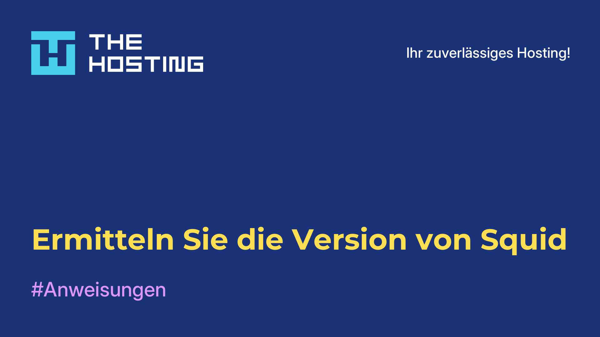 Ermitteln Sie die Version von Squid