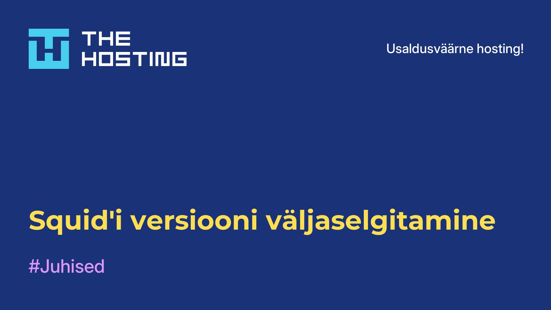 Squid'i versiooni väljaselgitamine