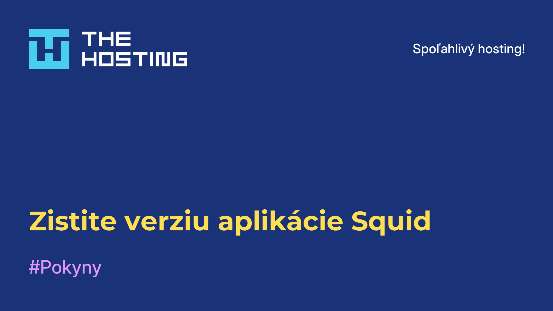 Zistite verziu aplikácie Squid