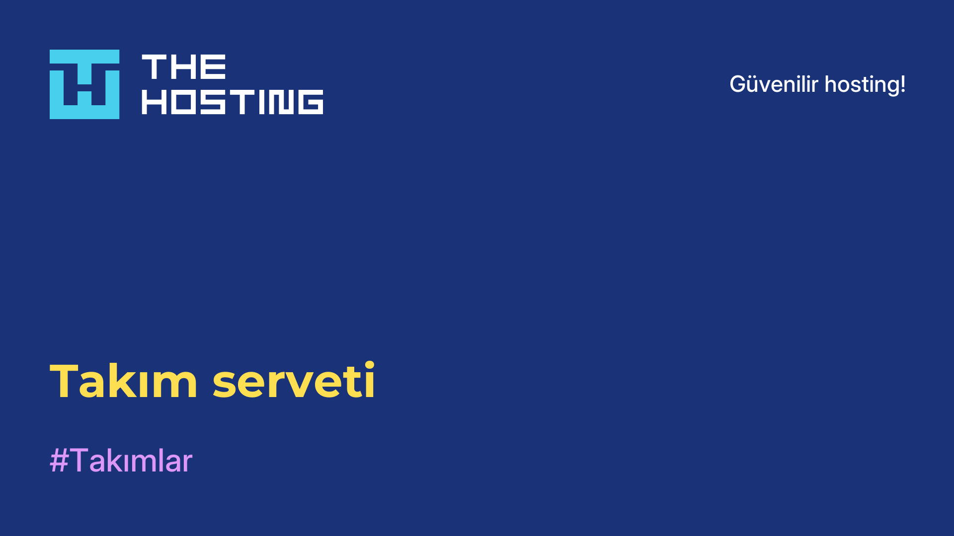 Takım serveti
