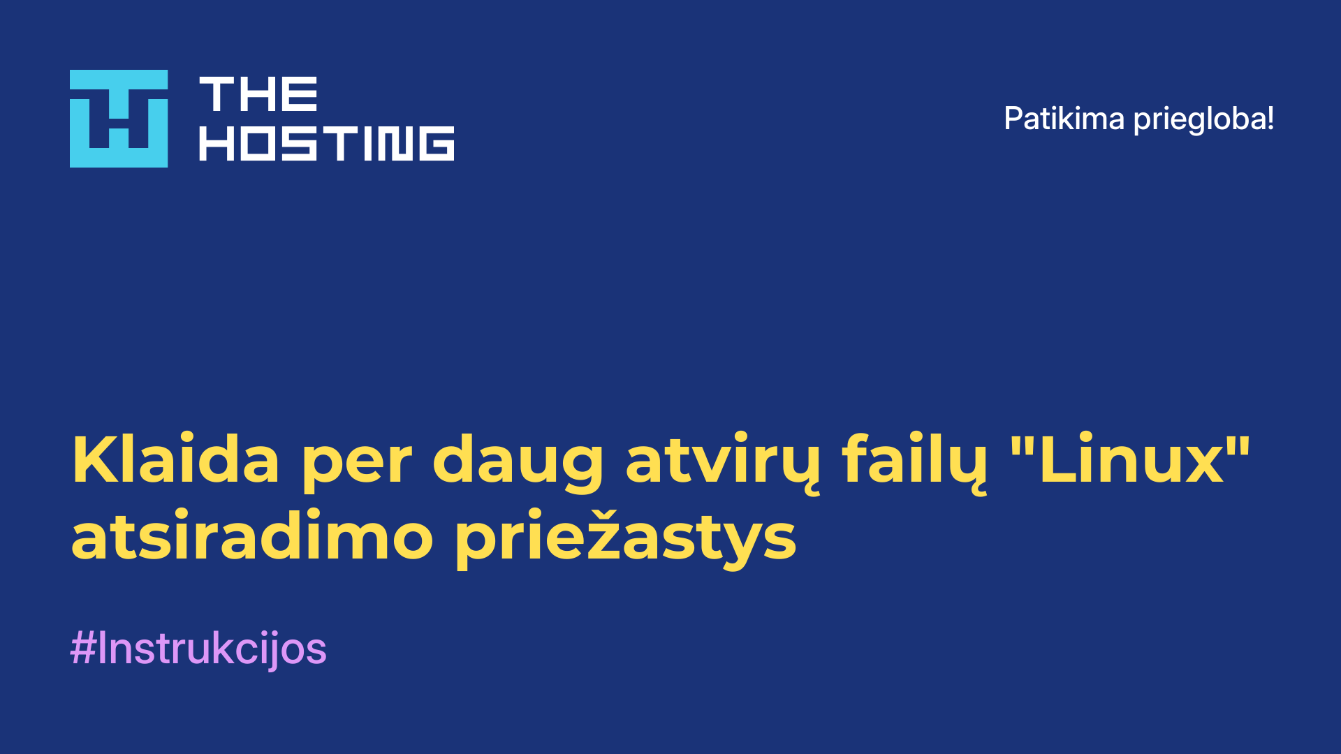 Klaida per daug atvirų failų "Linux" - atsiradimo priežastys