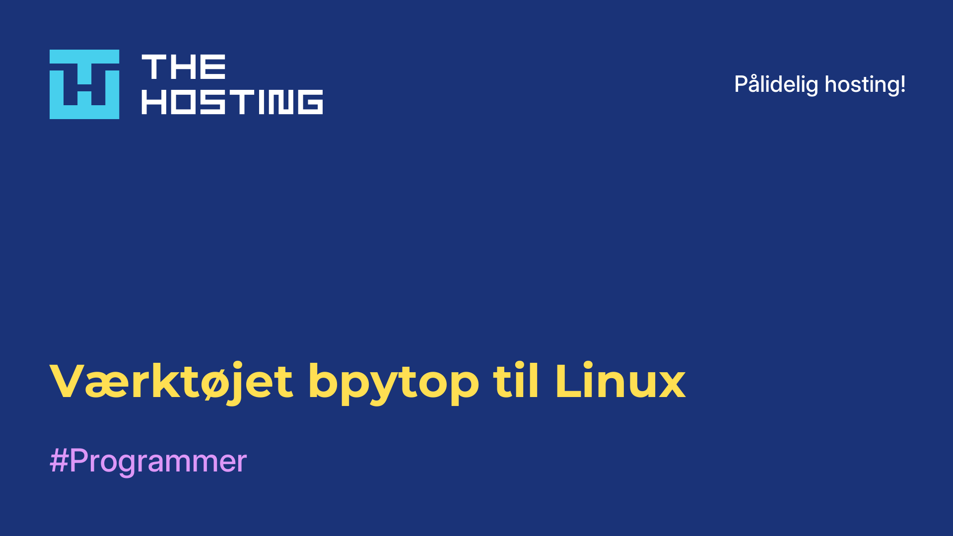 Værktøjet bpytop til Linux