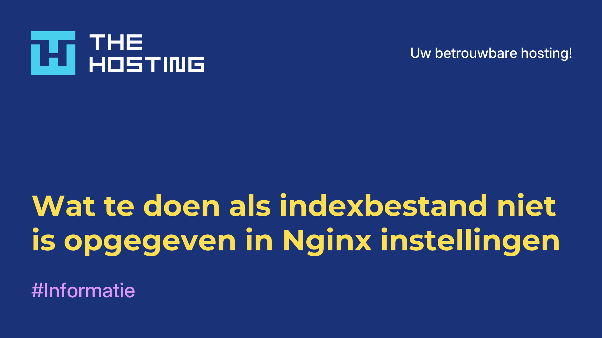 Wat te doen als indexbestand niet is opgegeven in Nginx-instellingen