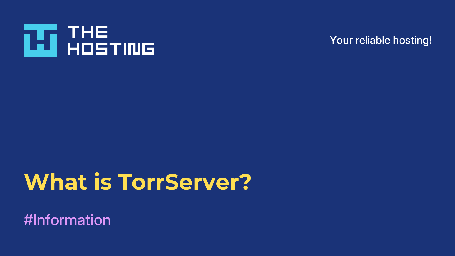What is TorrServer?