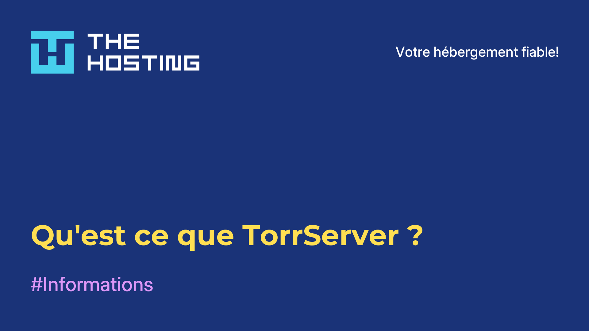 Qu'est-ce que TorrServer ?