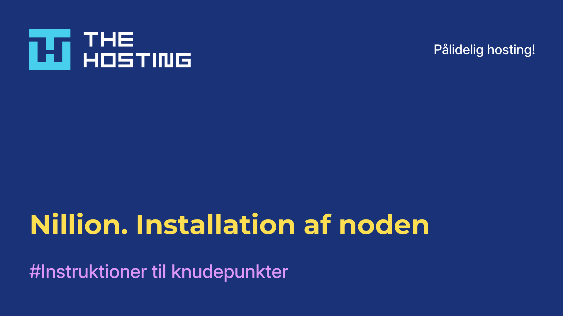 Nillion. Installation af noden