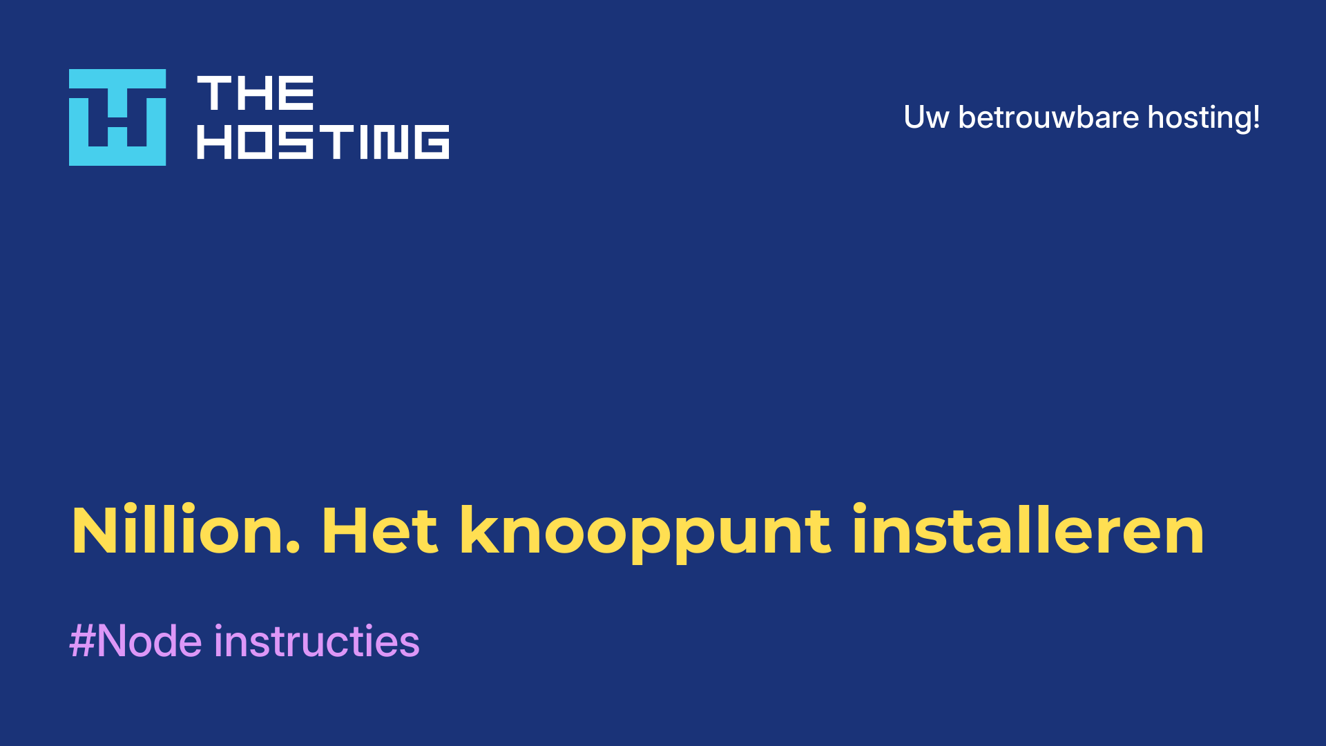 Nillion. Het knooppunt installeren
