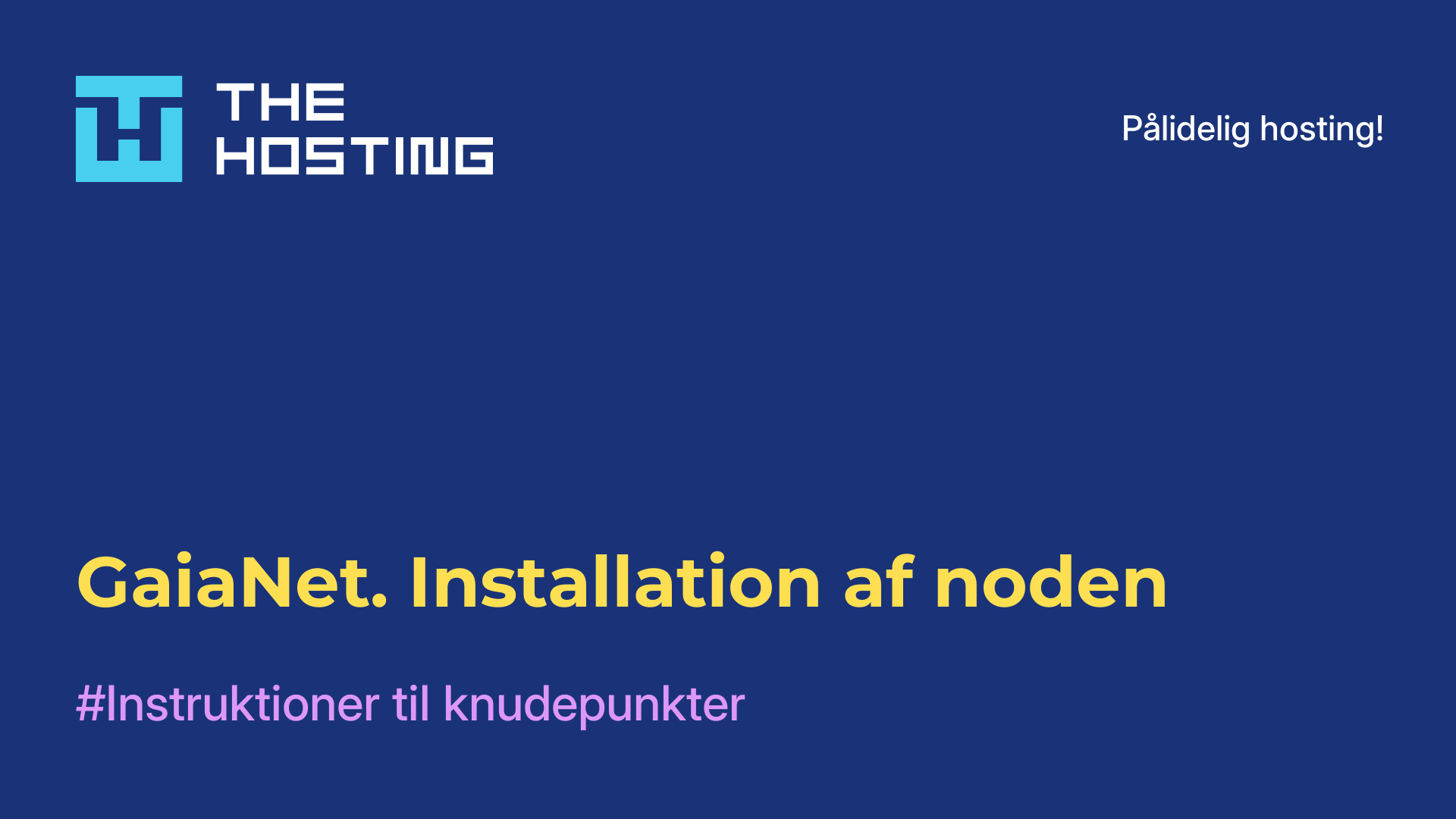 GaiaNet. Installation af noden