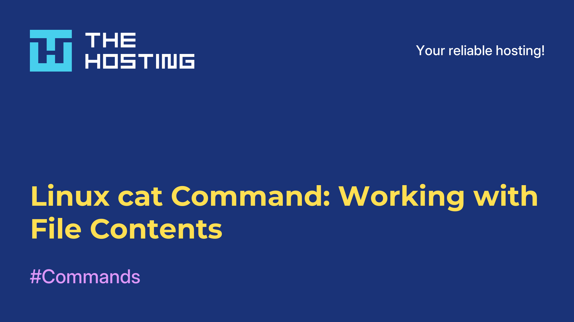 Linux cat Command: Working with File Contents