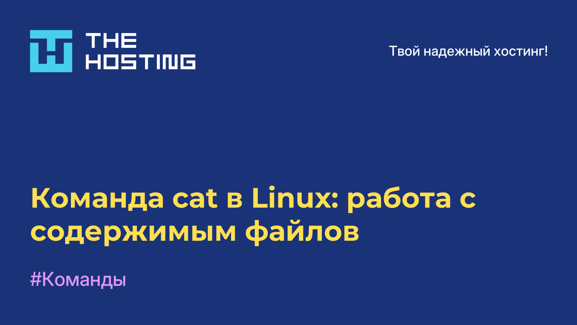 Команда cat в Linux: работа с содержимым файлов